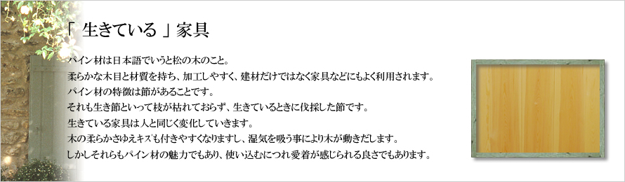 「生きている」家具
パイン材は日本語でいうと松の木のこと。
柔らかな木目と材質を持ち、加工しやすく、建材だけではなく家具などにもよく利用されます。
パイン材の特徴は節があることです。
それも生き節といって枝が枯れておらず、生きているときに伐採した節です。
生きている家具は人と同じく変化していきます。
木の柔らかさゆえｷｽﾞも付きやすくなりますし、湿気を吸う事により木が動きだします。
しかしそれらもパイン材の魅力でもあり、使い込むにつれ愛着が感じられる良さでもあります。